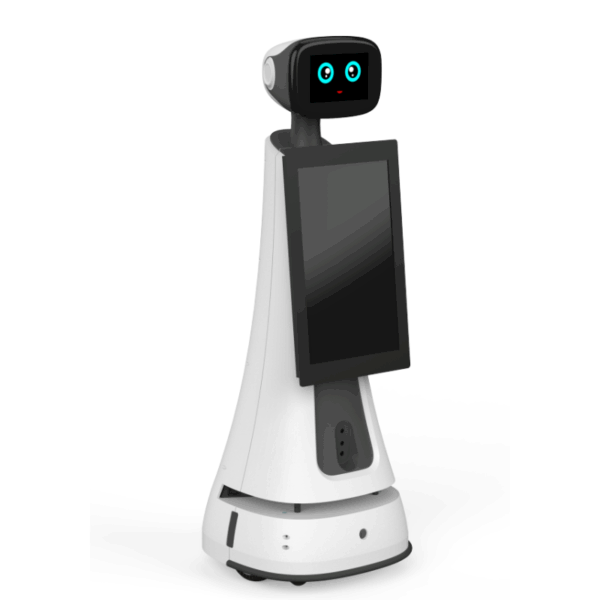 Welcoming Robot