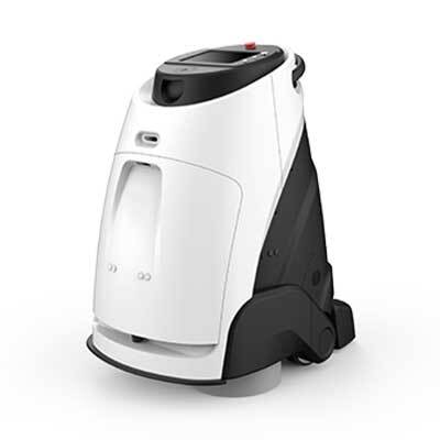 Intelligent stone surface maintenance robot 60