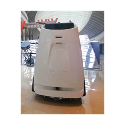 Intelligent stone surface maintenance robot 60