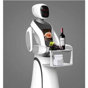 Intelligent trackless food delivery robot GBS-S-002